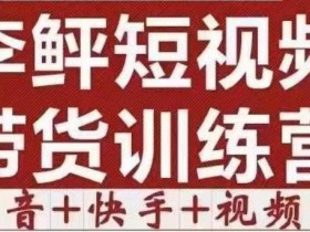 李鲆·短视频带货训练营(第11+12期+13期),手把手教你短视频带货,听话照做,保证出单