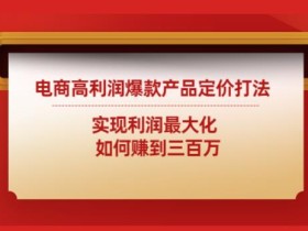电商高利润爆款产品定价打法:实现利润最大化如何赚到三百万