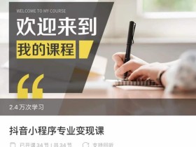 抖音小程序专业变现课,小程序各类玩法运营技巧变现
