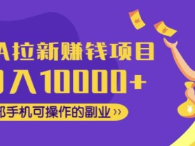 CPA拉新赚钱项目,月入10000+一部手机可操作的副业!