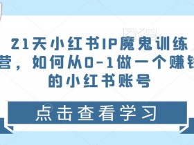 21天红小书IP鬼魔训练营,如何从0-1做一个赚钱的小红书账号