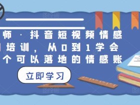 丁老师·抖音短视频情感项目培训,从0到1学会做一个可以落地的情感账号