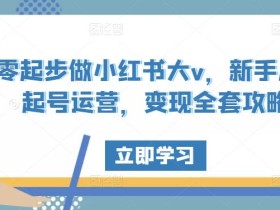 零起步做小红书大v,新手从0起号运营,变现全套攻略