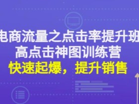 电商流量之点击率提升班+高点击神图训练营:快速起爆,提升销售!