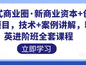 倪式商业圈·新商业资本+创业项目,技术+案例讲解,精英进阶班全套课程