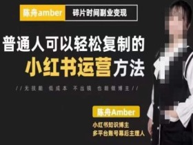 陈舟·小红书训练营(第十期),普通人可以轻松复制的小红书运营方法