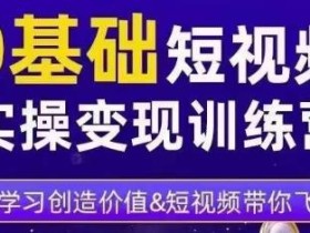 薛辉·0基础短视频实操变现训练营,3大体系成就百万大V