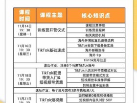 TikTok Shop本土+跨境第16期,双店带货训练营,出海抢占全球新流量,一店卖全球