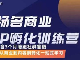 王扬名·商业IP孵化训练营,从商业到内容到转化一站式学习