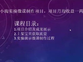 2022小淘实操微课制作项目,项目月均收益一两万