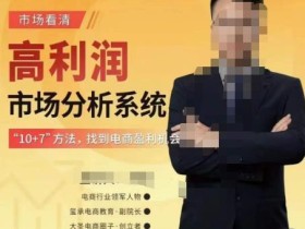 大圣电商市场看清·高利润市场分析系统-10+7找到电商盈利机会