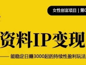 资料IP变现,能稳定日赚3000起的持续性盈利玩法