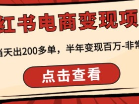 顽石·小红书电商变现项目,实测当天出200多单,半年变现百万,非常稳定