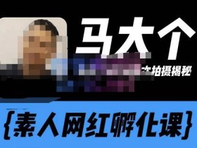 马大个素人网红孵化课【更新60节】,长期稳定变现,倒推账号定位,自我创号与选人孵化