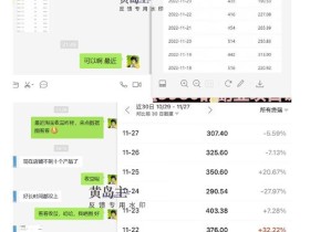 黄岛主《淘宝蓝海虚拟项目陪跑训练营6.0》每天纯利润200到1000+纯实战课