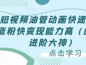 短视频油管动画快速制作涨粉快变现能力高(0基础进阶大神)