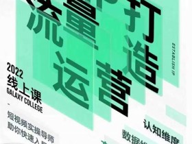 大蓝流量运营&个人ip打造课,短视频带货/爆款文案/流量运营/直播入门/镜头变现/流量商业