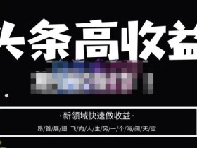 头条高收益批量操作,2023新领域快速做收益,头条号零基础轻松上手