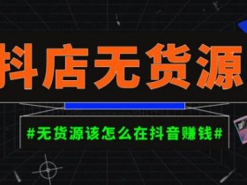 启哥抖店无货源店群陪跑计划,一个人在家就能做的副业,月入10000+
