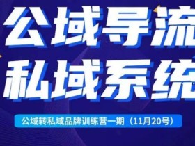 Peter·公域转私域品牌训练营,全套起号打法+沉淀私域系统,企业引流个人微信