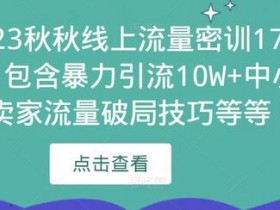 2023秋秋线上流量密训17.0:包含暴力引流10W+中小卖家流量破局技巧等等