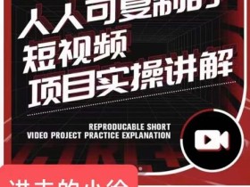 进击的小徐·人人可复制的短视频5个项目,实操讲解年销售额八位数级别项目