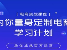 淘宝运营实战宝典鑫老板电商精品小课,为你量身定制电商学习计划