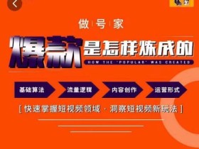 做号家-个人IP起号方法,快速打造爆款短视频,全面提升起号、文案、内容创作等技能