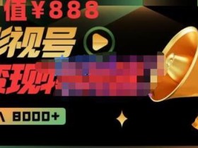智栋·影视号变现特训营月入8000+,从账号定位到素材到创作到热门全套课程-价值888元