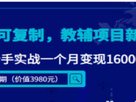 祖小来教辅项目新玩法 简单可复制 新手实战一个月变现16000+
