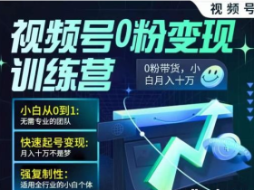 视频号0粉变现训练营 小白从0到1 快速起号变现 月入十万不是梦
