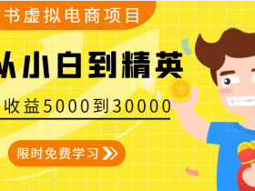 小红书虚拟电商项目:从小白到精英 月收益5000到30000 (视频课程+交付手册)