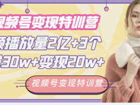 20天视频号变现特训营 单视频播放量2亿+3个月涨粉30w+变现20w+