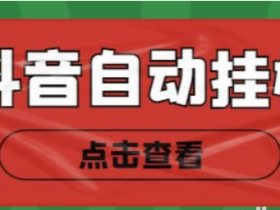 最新抖音点赞关注挂机项目,单号日收益10~18【自动脚本+详细教程】