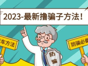 最新撸骗子方法日入200+【11个超详细找车方法+发车渠道】