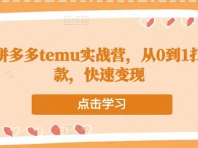 跨境拼多多temu实战营,从0到1打造爆款,快速变现