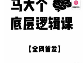 马大个·底层逻辑课,51节底层逻辑智慧课-价值1980元