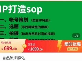 瑶瑶·自然流IP孵化,系统掌握IP孵化全流程,也能学到选题,剪辑,账号运营经验