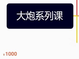 大炮拼多多运营系列课,各类玩法合集,拼多多运营玩法实操