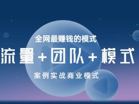 王冲老师《流量+团队+模式》商业模式实战课,全网最赚钱的模式