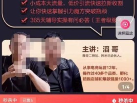 最新淘系引力魔方低价引流课程,小成本大流量,低价引流快速拉新收割