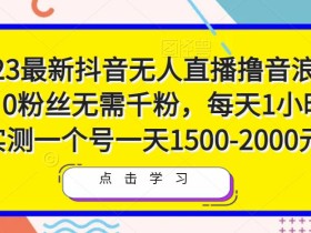 2023最新抖音无人直播撸音浪项目,0粉丝无需千粉,每天1小时,实测一个号一天1500-2000元
