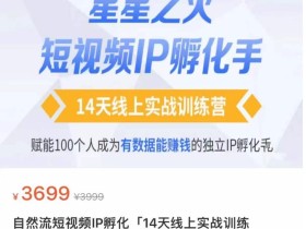 瑶瑶·自然流短视频IP孵化第二期,14天线上实战训练营,赋能100个人成为有数据能赚钱的独立IP孵化手