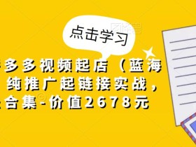 小乔·拼多多视频起店(蓝海项目),纯推广起链接实战,多玩法合集-价值2678元