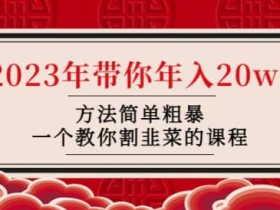 韭菜-联盟·2023年带你年入20w+方法简单粗暴,一个教你割韭菜的课程