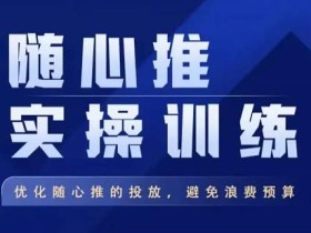 飞哥·随心推实操训练,优化随心推投放,避免浪费预算