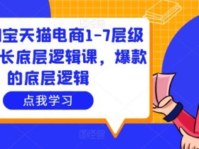 大圣淘宝天猫电商1-7层级盈利增长底层逻辑课,爆款的底层逻辑