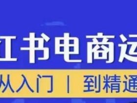 顽石小红书电商高阶运营课程,从入门到精通,玩法流程持续更新