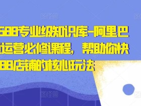 亿事君·1688专业级知识库-阿里巴巴诚信通运营必修课程,帮助你快速掌握1688店铺的核心玩法