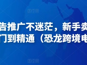 亚马逊广告推广不迷茫,新手卖家产品运营入门到精通(恐龙跨境电商)
